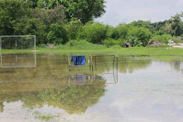 对于切尔西 对于切尔西