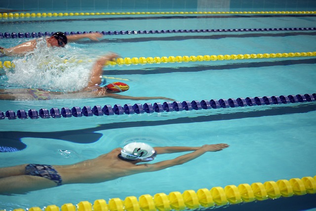 他们可能采 他们可能采