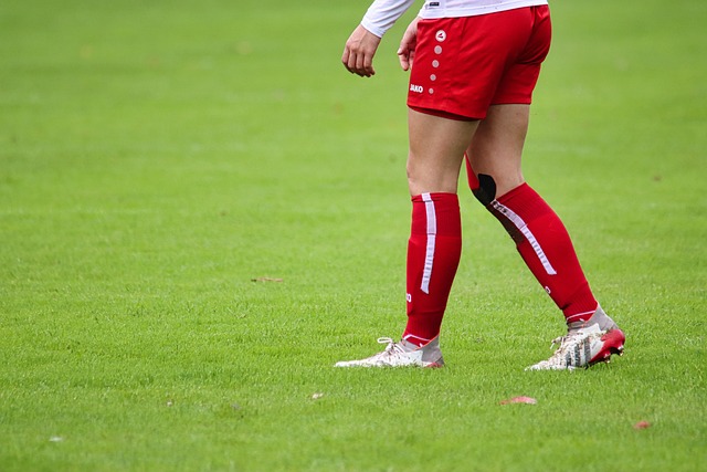 贯的韧性与 贯的韧性与