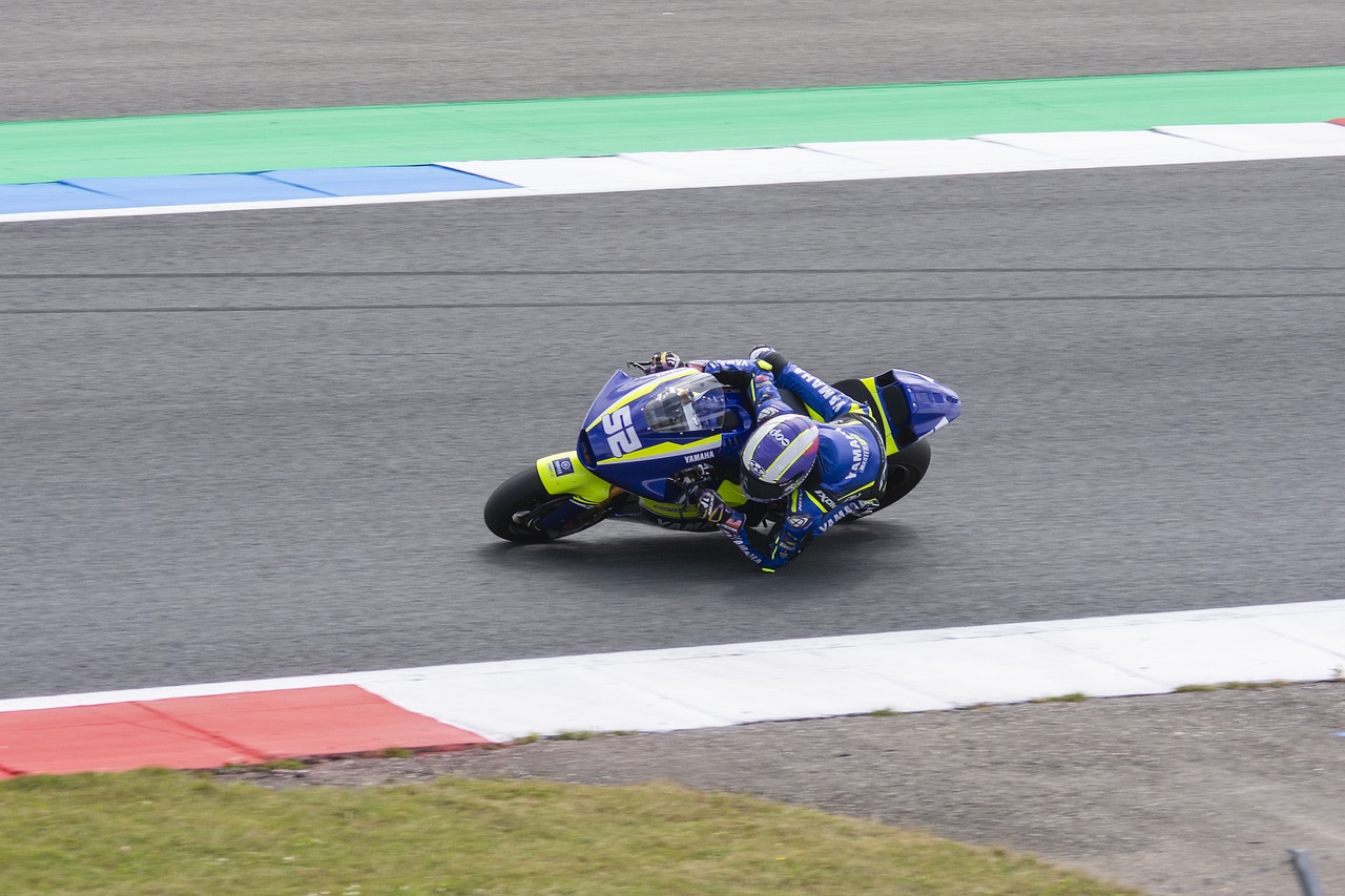 埋下更多悬 埋下更多悬