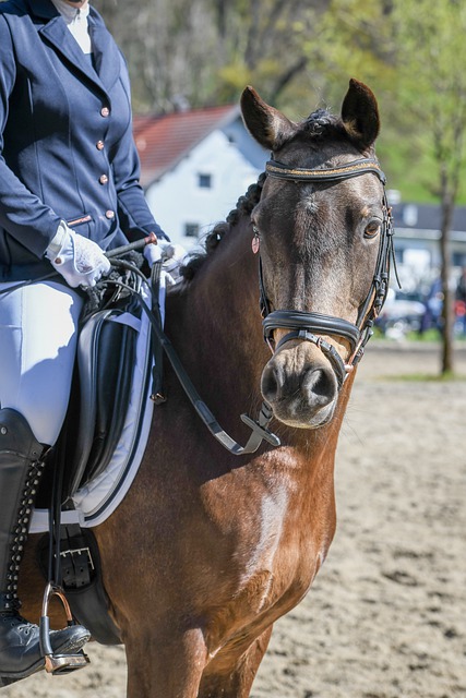 并分析他们 并分析他们