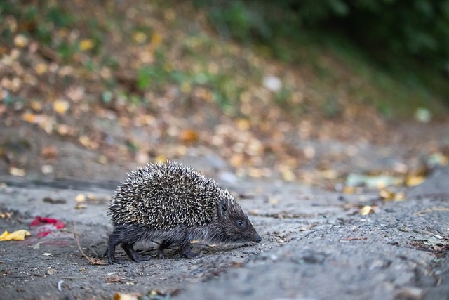 情提供了啟 情提供了啟