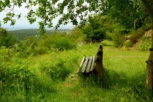 俄罗斯在国 俄罗斯在国